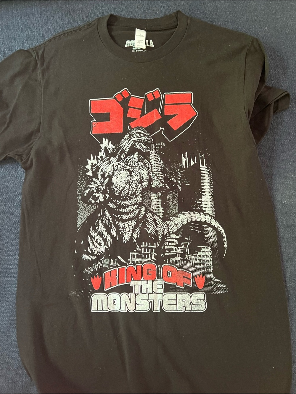 Godzilla Mens Black Graphic Tee - King of the Monsters